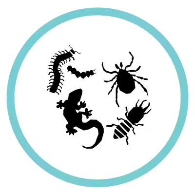 Pest Control